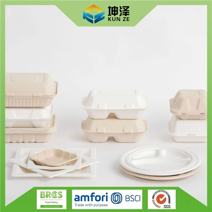 Bagasse Square Plates
