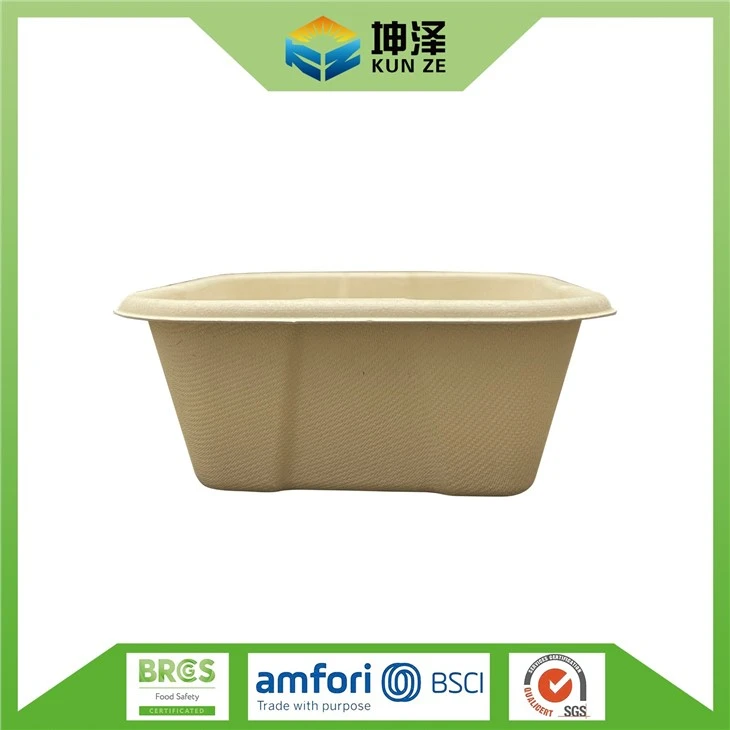 Square Disposable Container