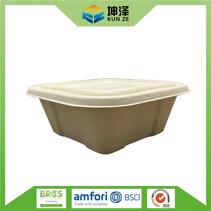 Square Disposable Container