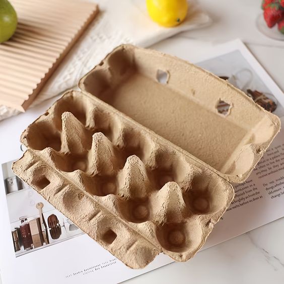 egg carton 06 egg carton 06