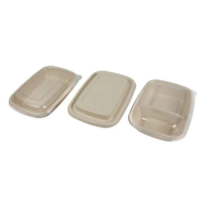 Compostable Lunch Trays